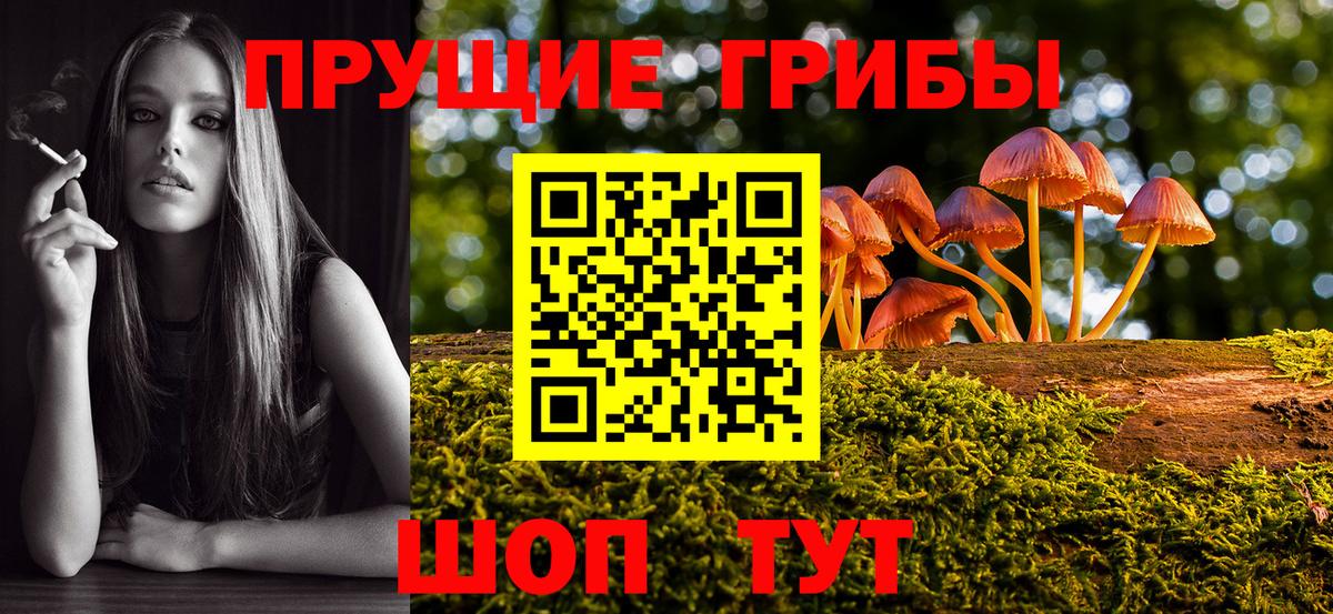 Галлюциногенные грибы GOLDEN TEACHER Конаково