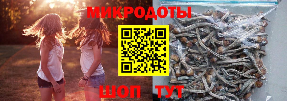 Галлюциногенные грибы Psilocybine cubensis  Вход с VPN  Конаково  Галлюциногенные грибы мицелий 